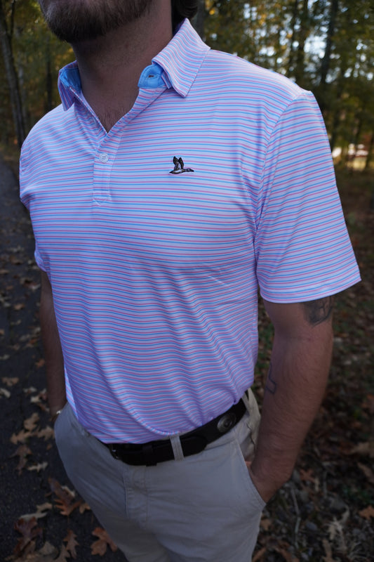 Roost Cayuga Polo Pink/Blue