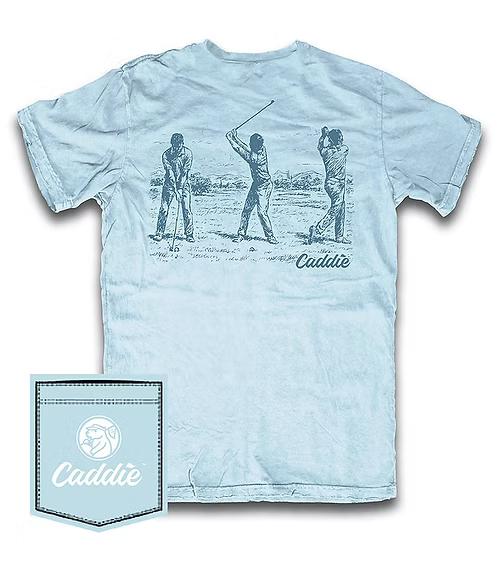 Caddie Art of the Swing